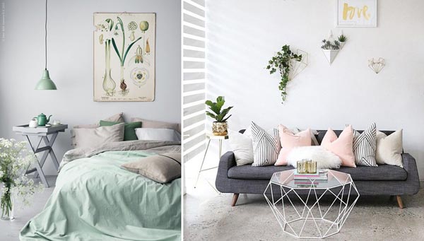 2-wonderforest-instagram