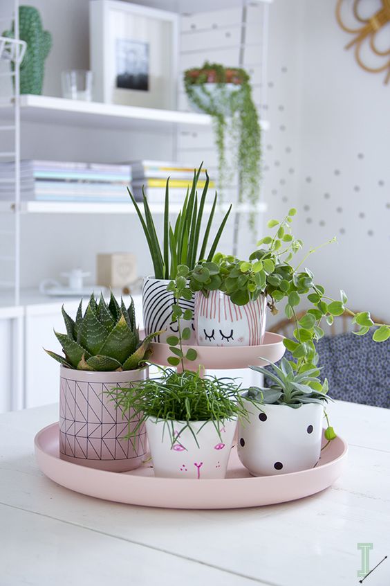 cuteplants-ida interior lifestyle